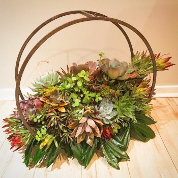 41678499_712365372457897_4732088576097910784_o