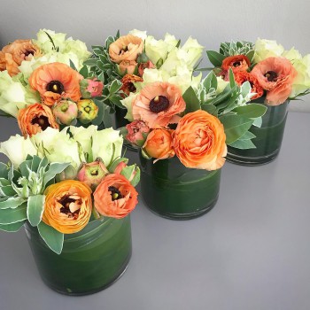 68434206_917094841984948_999479799342694400_o